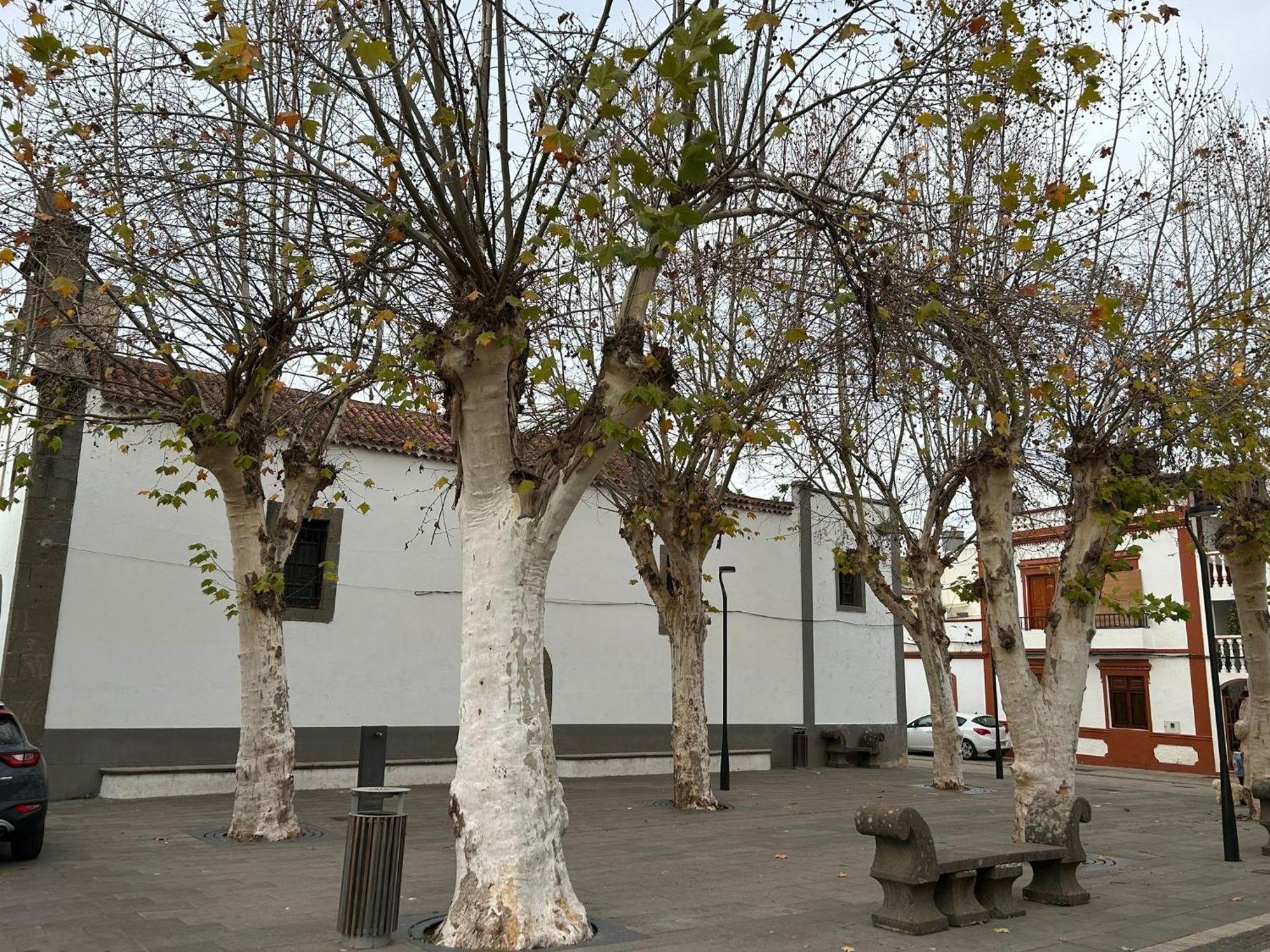Appartamento Vivienda Alpa Fontanales Agua de Fontanales Esterno foto